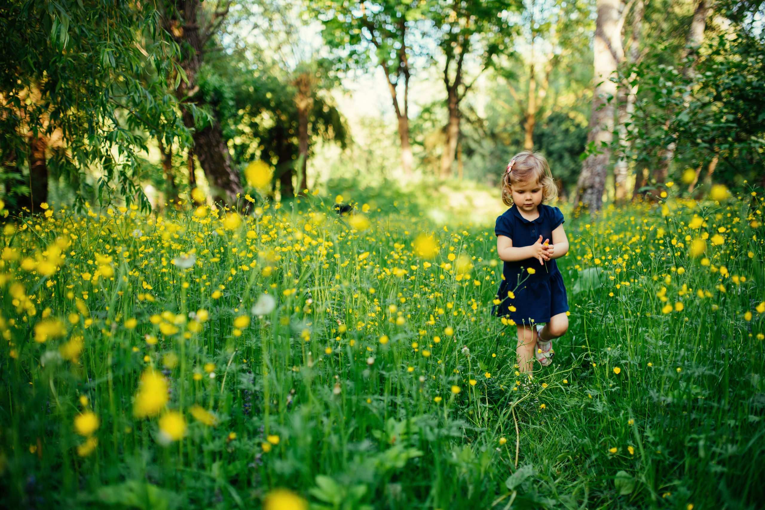 Young girl in a navy dress walking through a field of yellow wildflowers, surrounded by greenery.